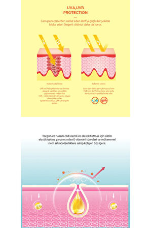 Uv Shield Longwear Sun Cream Spf50 Yüksek Koruma Güneş Kremi Kore 40ml