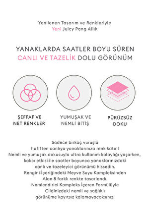 Doğal Görünüm Sunan Nemlendirici Likit Allık 9g. APIEU Juicy-Pang Water Blusher (PK04)