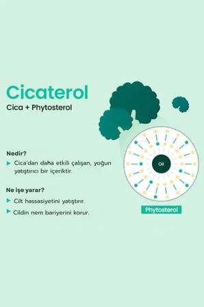 Beplain Cicaterol Bariyer Onarıcı Yüz Nemlendirici Krem 60 ml