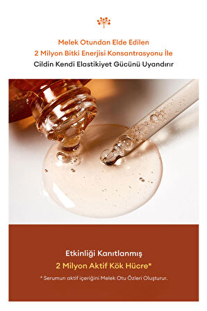 Sıkı ve Genç Görünüm Sunan Yoğun Etkili Serum Time Revolution Primestem100 Lifting Serum 50ml