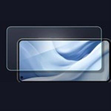 Spigen Xiaomi Mi 11 Lite Cam Ekran Koruyucu (2 Adet) - AGL03048