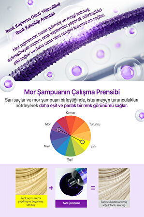 Sarı-Küllü Saçlara Özel Renk Koruyucu Bakım Şampuanı KUNDAL Ash Color Shampoo 300 ml (Pear&Freesia)