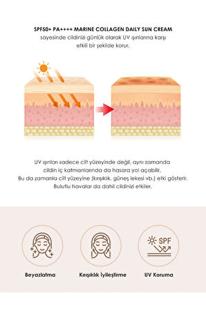 Aydınlatıcı & Kırışıklık Karşıtı Güneş Kremi – Günlük Kullanıma Uygun, Hafif yapı 70ml