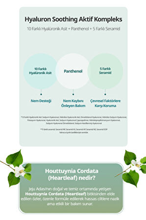 Arındırıcı Makyaj Temizleme Yağı GOODAL Houttuynia Cordata Hyaluron Soothing Pore Cleansing Oil