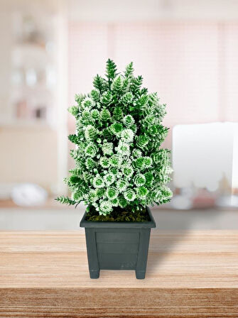 Yapay Çiçek Bonsai Ağacı Beyaz Kozalak Model Dekoratif Yapay Ağaç Bonzai 30*15 CM Siyah Kare Saksıda