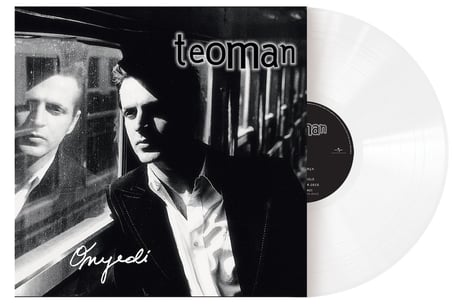 Murat Akad Teoman 17 Plak Renkli Rock Müzik Albümü