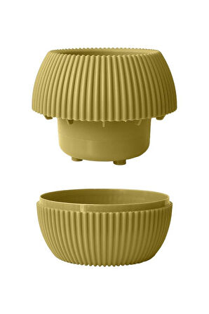 Omnipazar KRS Mercan Dekoratif Sukulent Kaktüs Plastik Saksı Takımı 3'lü Set Soft Sarı