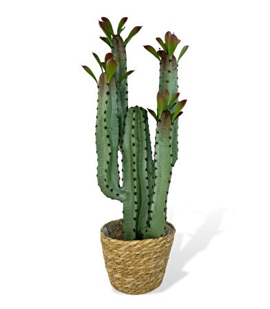 Yapay Çiçek Kaktüs Ağacı 4kollu Kızıl Yapraklı Hasır Saksıda 70*22cm 4027hsr