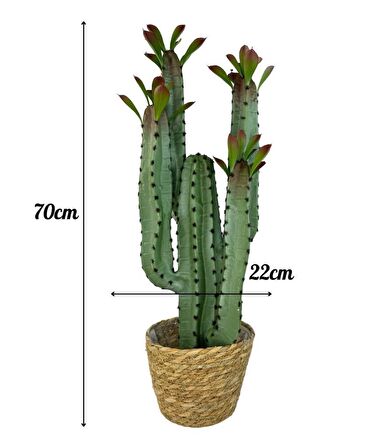 Yapay Çiçek Kaktüs Ağacı 4kollu Kızıl Yapraklı Hasır Saksıda 70*22cm 4027hsr