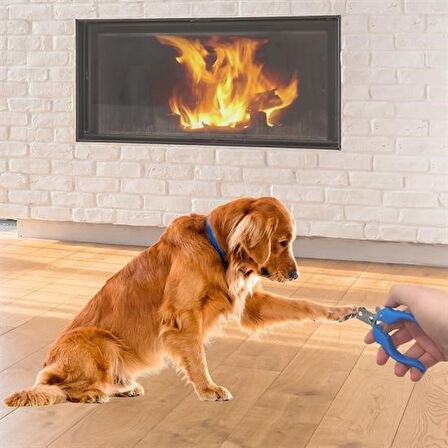 caselka® Evcil Hayvan Kedi ve Köpek Paslanmaz Çelik Yaylı Tırnak Makası ve Düzeltme