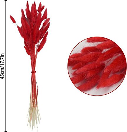 Kuru Çiçek Doğal KIRMIZI Pamuk Otu 10gram 1. Kalite Şoklanmış Bozulmaz