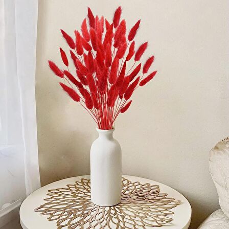 Kuru Çiçek Doğal KIRMIZI Pamuk Otu 10gram 1. Kalite Şoklanmış Bozulmaz