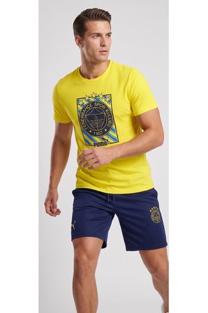 FENERBAHÇE ORİJİNAL LİSANSLI YETİŞKİN T-HİRT + ŞORT  TAKIMI