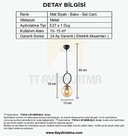 TT014-1 SY TT Aydınlatma Mat Siyah - Bakır Bal Camlı Tekli Avize