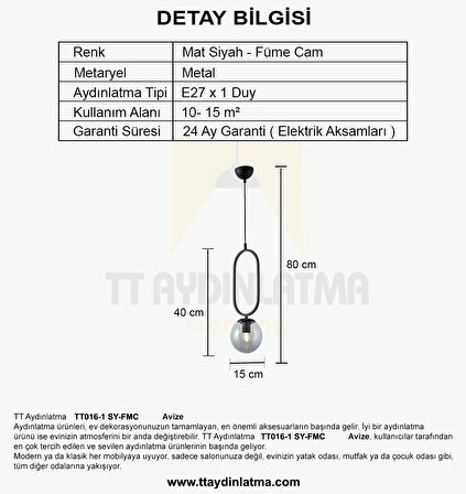 TT016-1 SY TT Aydınlatma Mat Siyah Füme Camlı Tekli Avize
