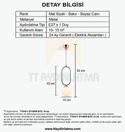 TT016-1 SY TT Aydınlatma Mat Siyah - Bakır Beyaz Camlı Tekli Avize