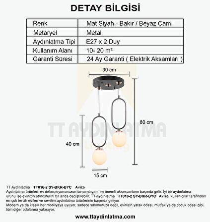 TT016-2 SY TT Aydınlatma Mat Siyah - Bakır Beyaz Camlı 2 li Avize