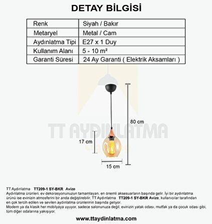 TT209-1-SY TT Aydınlatma Basık Camlı Siyah - Bakır Tekli Avize