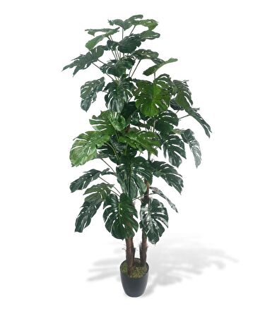 Yapay Çiçek Monstera Yeşil Deve Tabanı 3Katlı 135cm 54Yaprak Siyah Plastik Saksıda Yapay Bitki