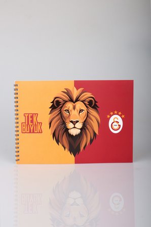 x Dekomus Cep Defteri Hediyeli Lisanslı Galatasaray Yeni Sezon 17x24 Cm 15 Yaprak Resim Defteri Tek Adet