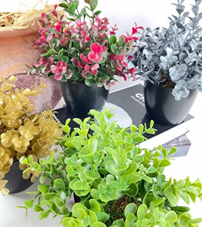 Yapay Çiçek Yeşil Renk Şimşir Siyah Saksıda Siyah Plastik Saksılı Dekoratif Süs Çiçeği