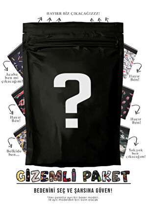 Erkek 5 Adet Rastgele Sürpriz Desenli Boxer - Özel Gizemli Paketinde Sürpriz Boxer