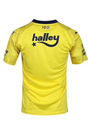 FENERBAHÇE ORJİNAL LİSANSLI SARI LACİVERT TK