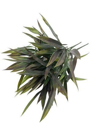 Yapay Çiçek Bambu Grass Koyu Yeşil 40cm Demet Garnitür Aradal Dekoratif Yapay Bitki