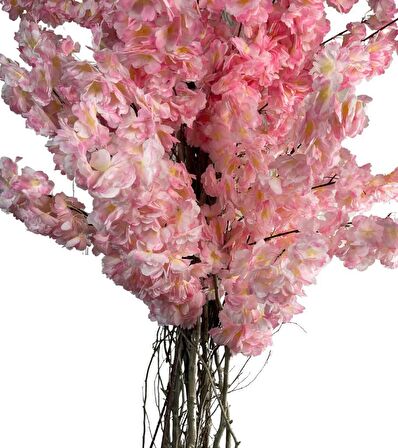 Yapay Ağaç Pembe Sakura Bahardalı Ağacı Siyah Uzun Kumsal Vazoda 200cm