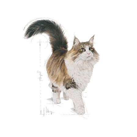 Royal Canin Sterilised37 Kısırlaştırılmış Kediler için Yaş Kedi Maması 85g