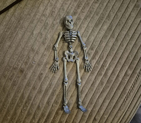Oyuncak İskelet Model 13CM PLA Doğal Malzeme