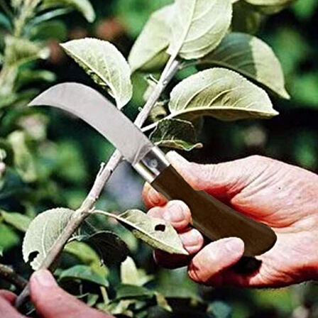 Aşı Bıçağı Eğri Uçlu Ara Çakı Bağ Bıçağı Paslanmaz Çelik Plastik Saplı Katlanır Bıçak 22 cm