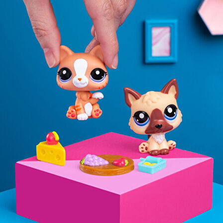 Hasbro Littlest Petshop Figür Minişler 2'li Paket Hayvanlar Kahverengi Kedi-Köpek 00506 (KOLİ İTEMİ S00005264)