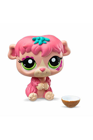 Minişler Tekli Paket S3 - Ginepig