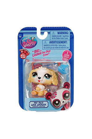 Minişler Tekli Paket S3 - 135 - Labrodoodle Köpek