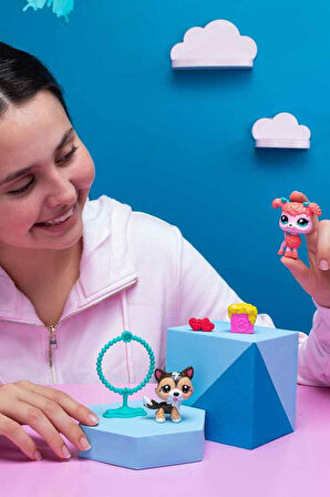 Littlest Pet Shop 2'li Minişler S2 ile Koleksiyonunu Tamamla!