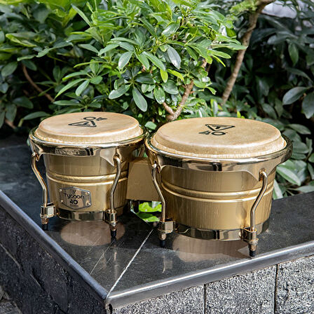 Tycoon 7''+8,5'' 40th Anniversary Celebration Bongo (TB40CSBG)