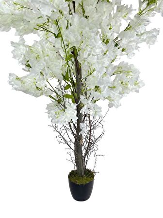 Yapay Ağaç Beyaz Begonvil Ağacı 150*60cm Doğal Görünümlü Yapay Ağaç 