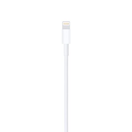 Apple Lightning To Usb Cable (0.5 M)