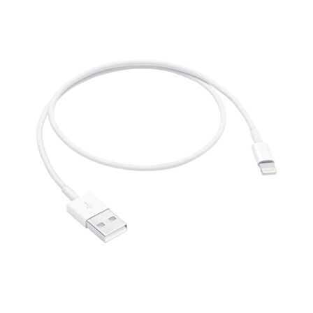 Apple Lightning To Usb Cable (0.5 M)