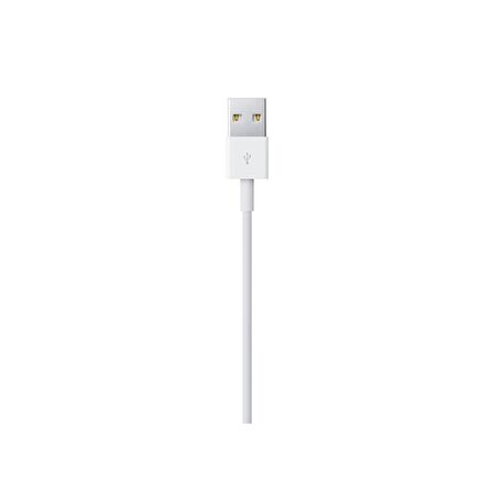 Apple Lightning To Usb Cable (0.5 M)