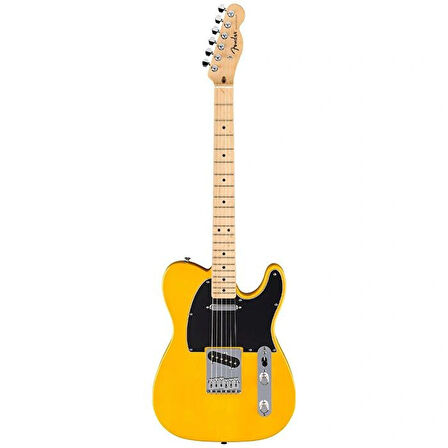 Fender Standard Tele MN BPG BTB Elektro Gitar