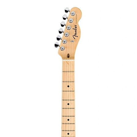 Fender Standard Tele MN BPG BTB Elektro Gitar