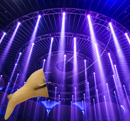 Halloween Cadılar Bayramı Cadı Burnu Yumuşak Silikon Korku Aksesuarı