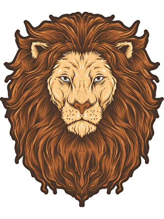 Aslan Sticker Araba Oto Motorsiket 19CM