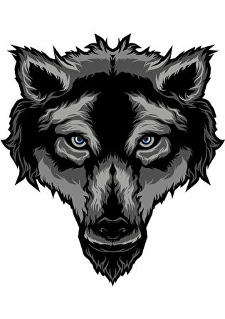 Yaşlı Kurt Araba Motorsiklet Sticker 19 CM