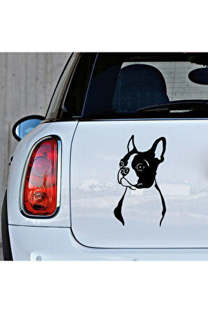 Boston Terrier Cinsi köpek Sticker Yapıştırma Etiket 25cm Siyah