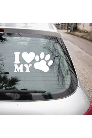 Kedi Köpek Pet Araba oto Sticker Pati Resmi Beyaz Renk