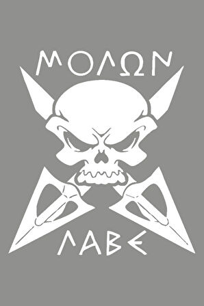 Kılıç Kuru kafa ilginç Sticker Beyaz Renk Araba Oto etiket 25CM