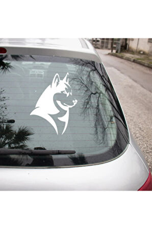 Sibirya Kurdu Araç Araba Duvar Sticker 25cm Beyaz